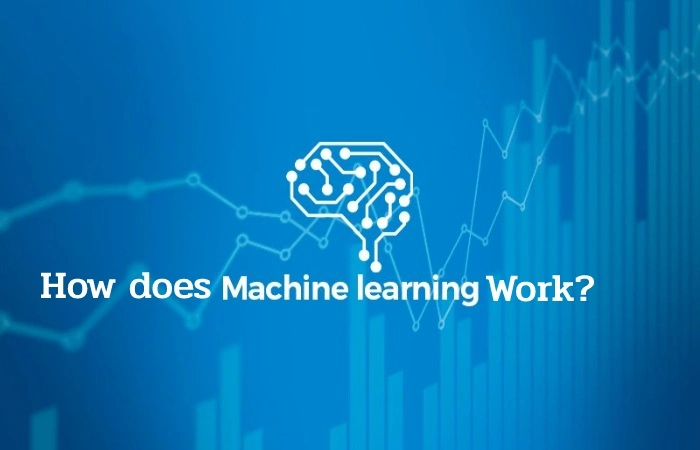 How does Machine Learning Work?