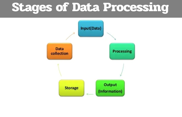 Stages of Data Processing