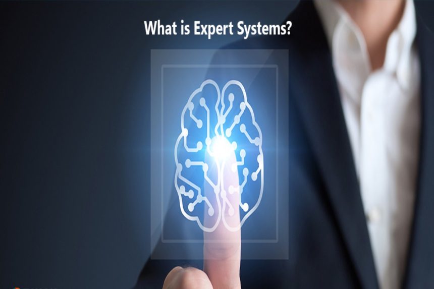 expert system