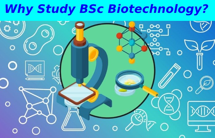 bsc biotechnology