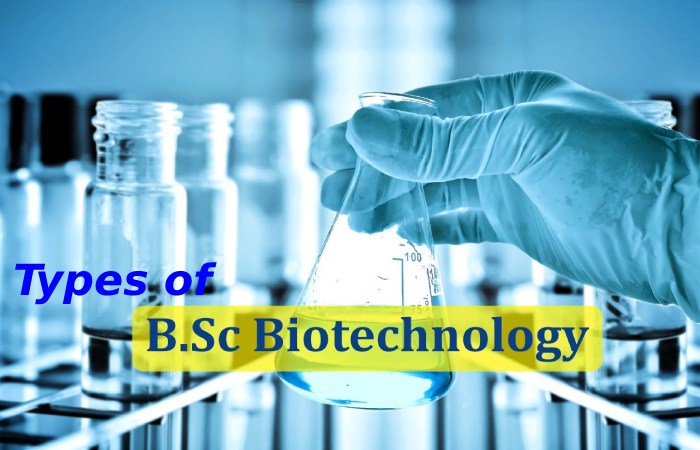 bsc biotechnology