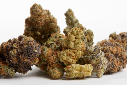 cbd flower wholesale