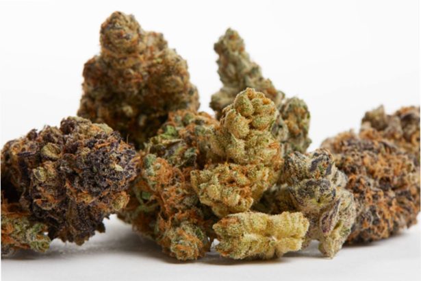 cbd flower wholesale