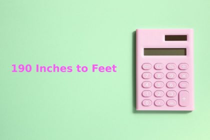190 Inches to Feet