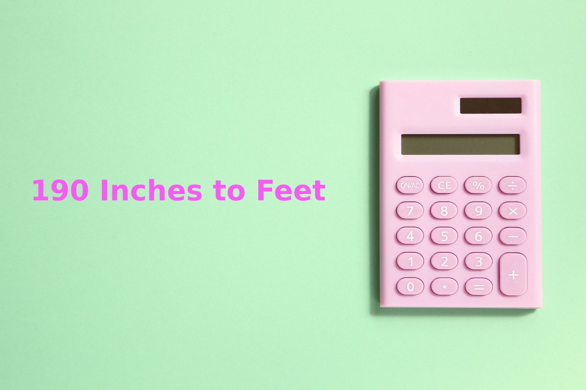 190 Inches to Feet