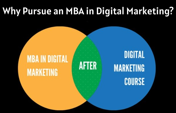 Why Pursue an MBA in Digital Marketing?
