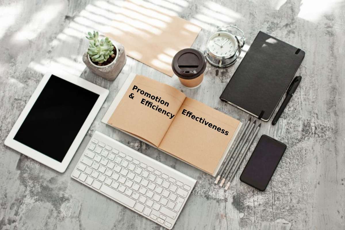 Promotion Effectiveness & Efficiency