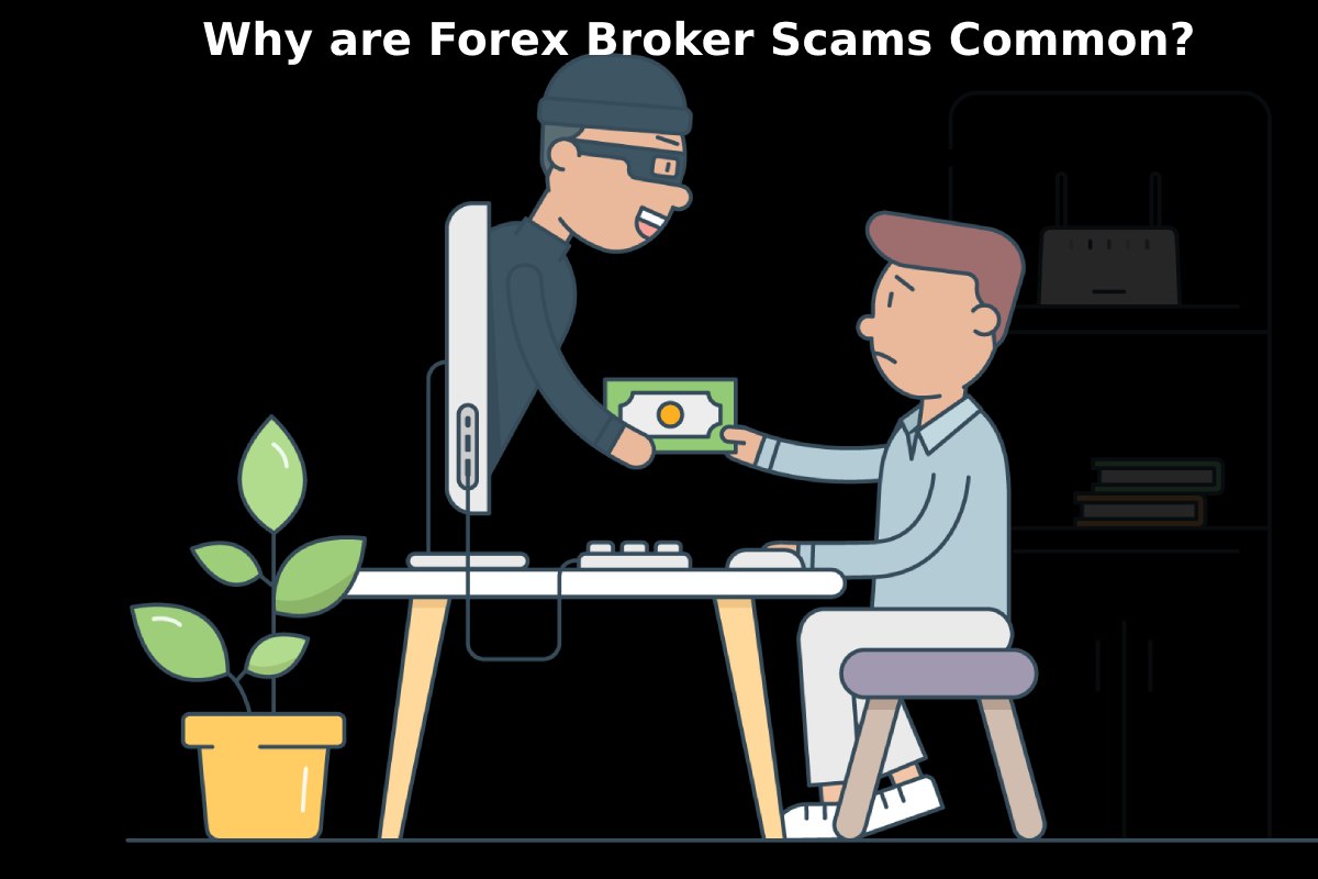 Why are Forex Broker Scams Common?