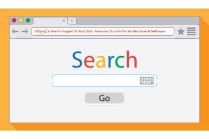 Adding a Search Engine To Your Site: Features To Look For in Site Search Software