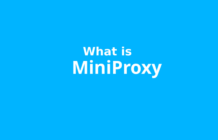 What is Miniproxy?