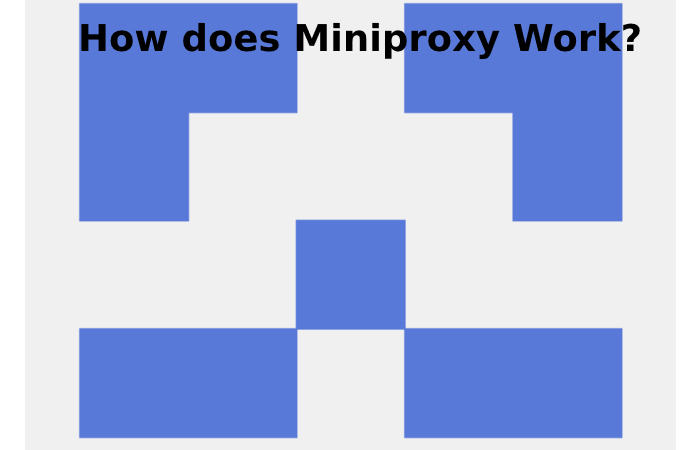 How does Miniproxy Work?