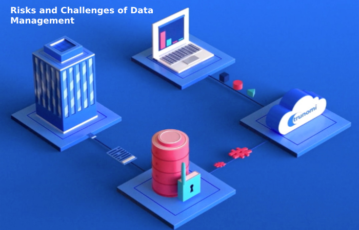 Risks and Challenges of Data Management