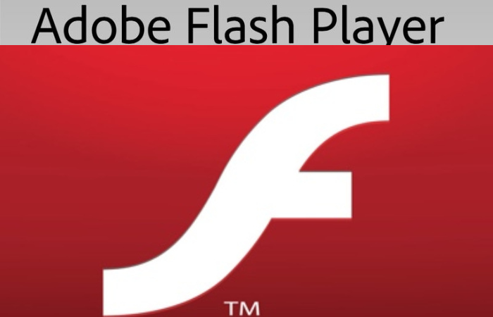 What File Types did Adobe Flash Player Support?