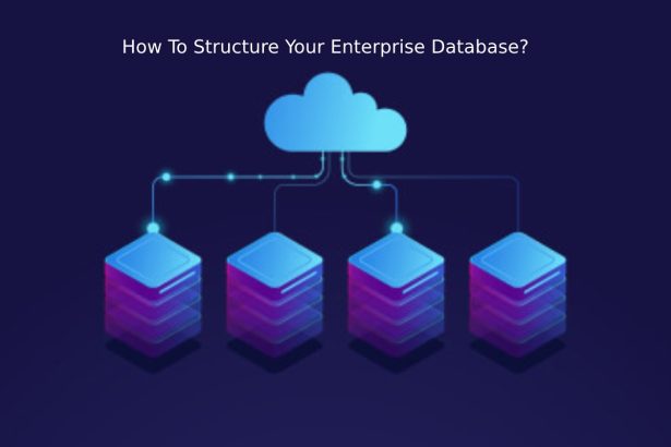 How To Structure Your Enterprise Database?