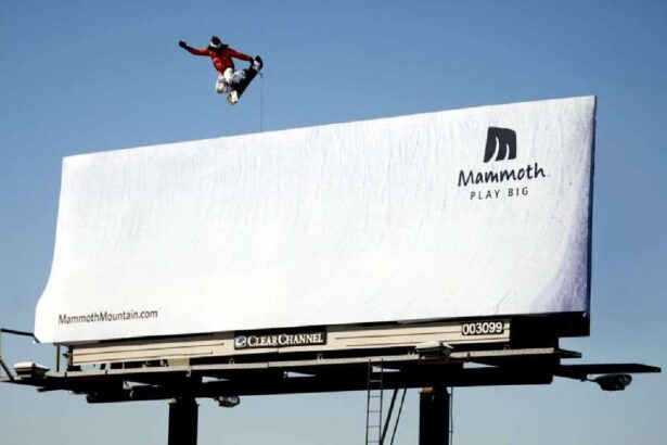 Unlocking the Mystery: The Attraction Factor of Defense Attorney Billboards in Advertising