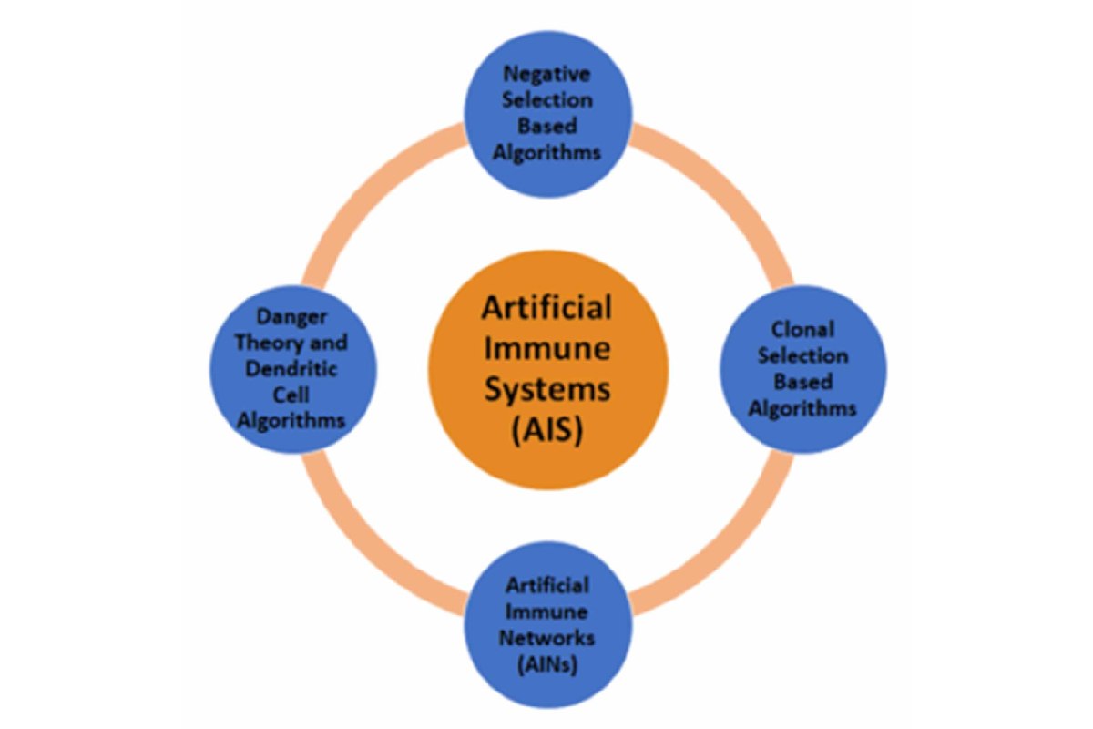 What is an Artificial Immune System (AIS)? – History, and More
